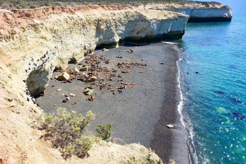 private-shore-excursion-puerto-madryn-city-tour-7