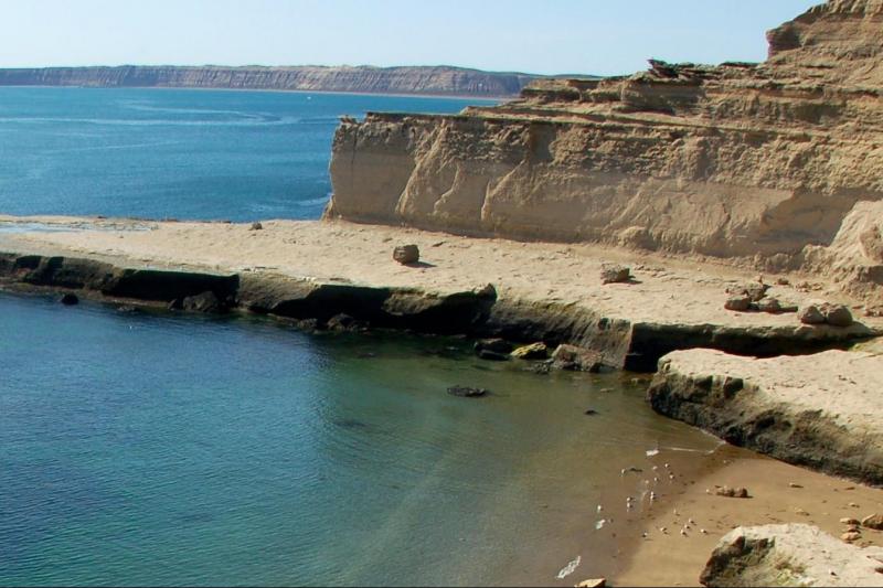 private-shore-excursion-peninsula-valdes-day-trip-1