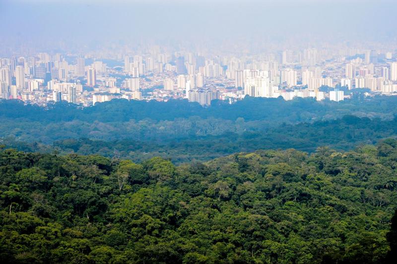 cantareira-park-tour-waterfall-trail-1