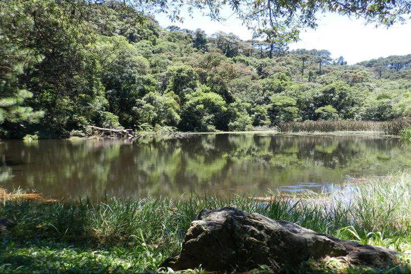 cantareira-park-tour-waterfall-trail-2