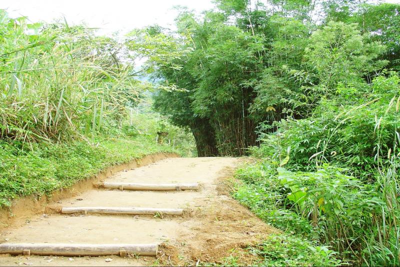 walk-through-caminho-do-ouro-from-paraty-cunha-2