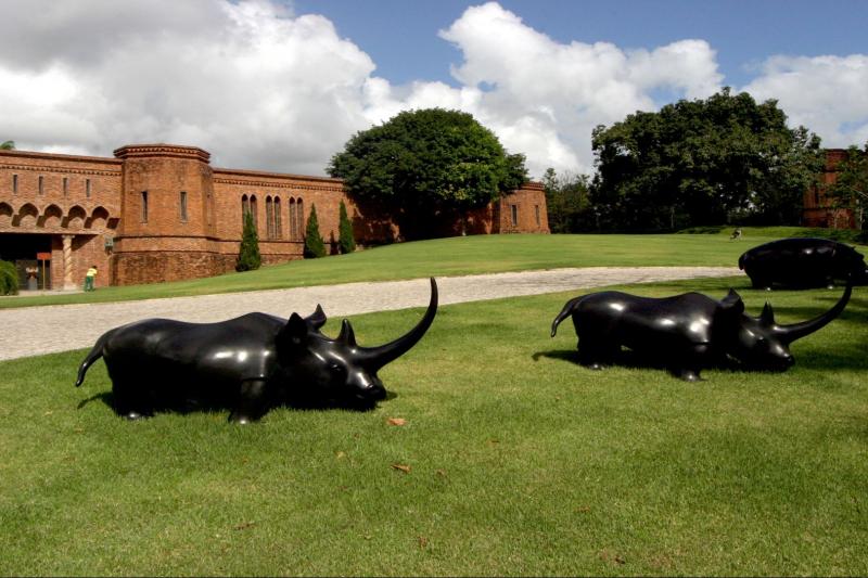 recife-and-ricardo-brennand-institute-tour-2