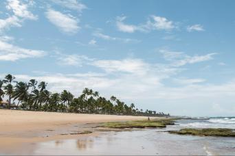 Buggy Tour by Porto de Galinhas