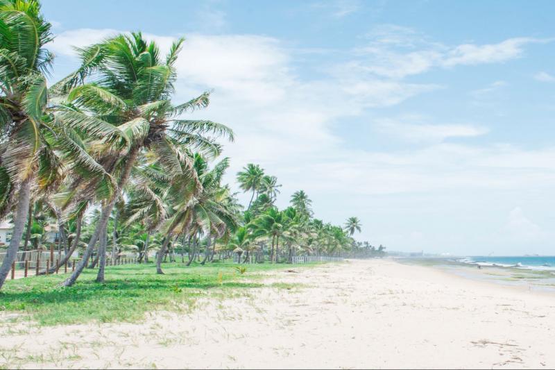 buggy-tour-by-porto-de-galinhas-7