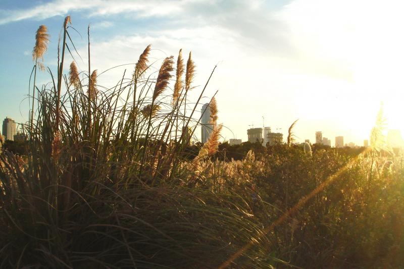 northern-neighborhoods-bicycle-tour-4