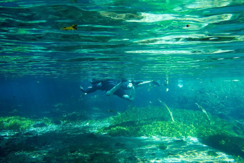 sucuri-river-snorkel-tour-3
