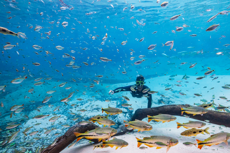 snorkeling-rio-da-prata-tour-7