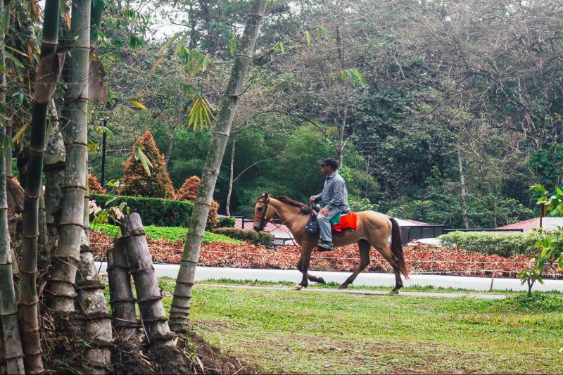 horseback-riding-at-recanto-do-peao-4
