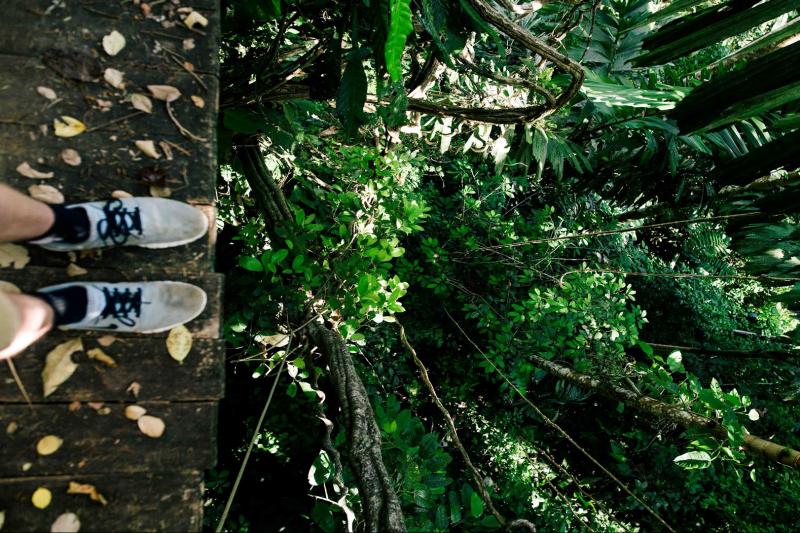 arborismo-in-cabanas-1