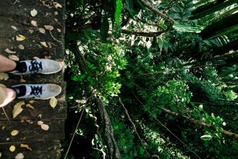 Arborismo In Cabanas