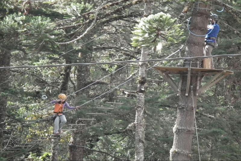 arborismo-in-cabanas-3