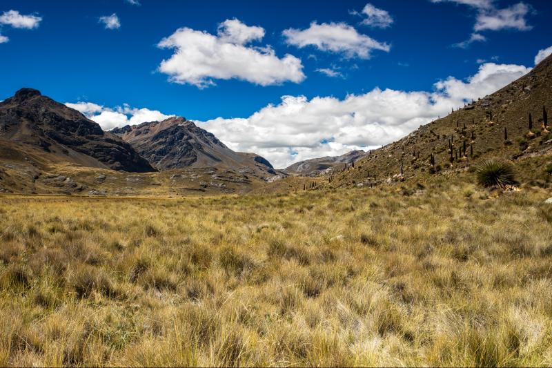 glacier-pastoruri-and-puya-raimondi-full-day-tour-5