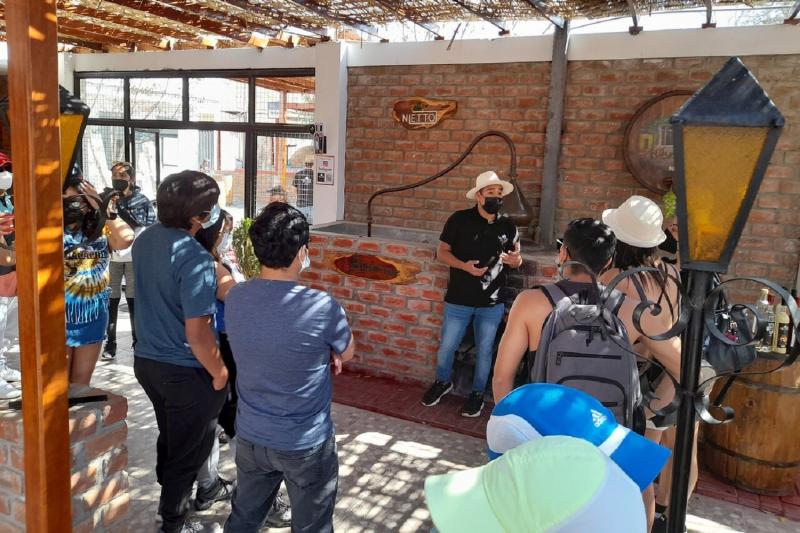 pisco-wineries-and-vineyards-day-tour-2