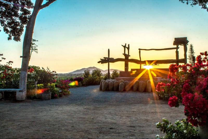 pisco-wineries-and-vineyards-day-tour-4