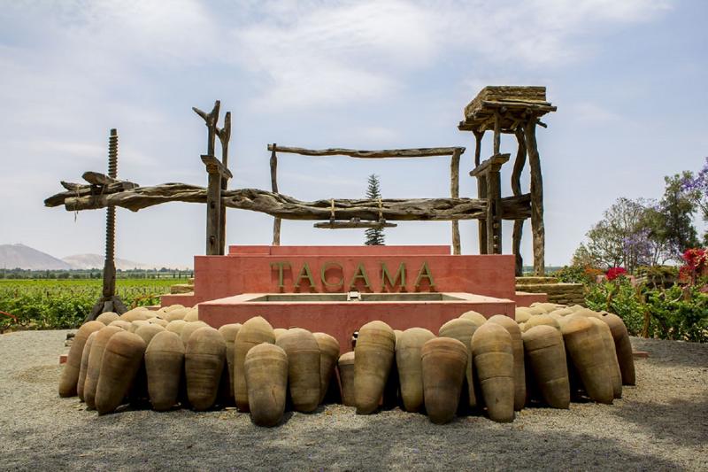 pisco-wineries-and-vineyards-day-tour-5