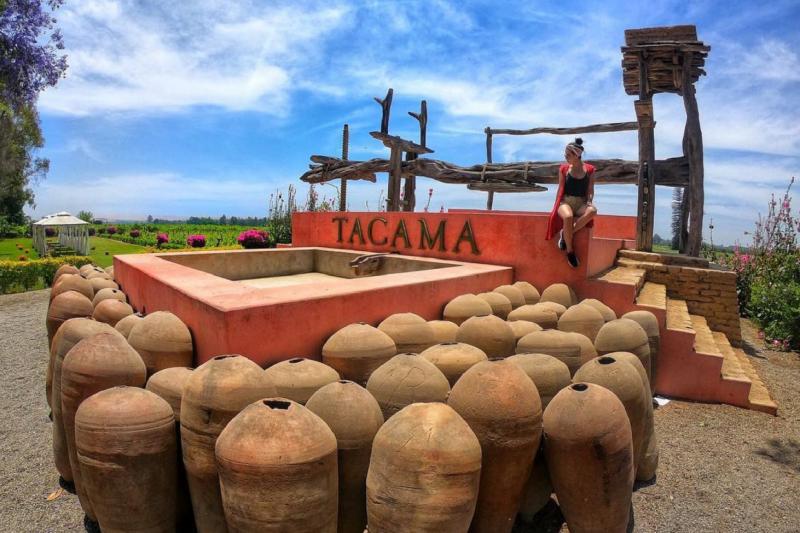 pisco-wineries-and-vineyards-day-tour-6