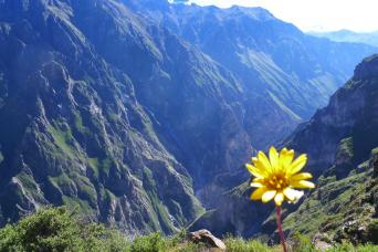 3-day Colca Canyon Trek Tour - Private Room