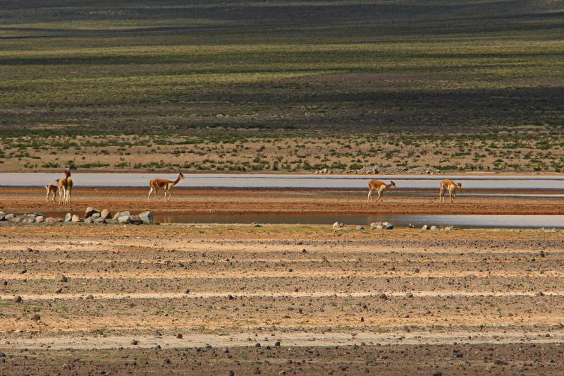 pillones-waterfalls-and-imata-stone-forest-5