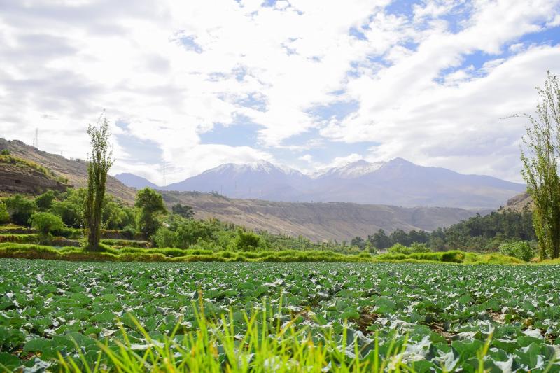 arequipa-city-tour-with-panoramic-bus-3