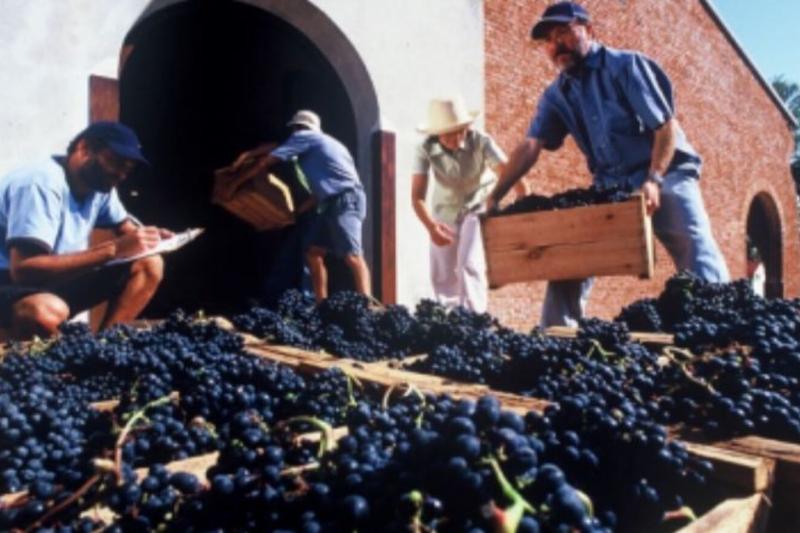 colonia-day-trip-from-buenos-aires-4