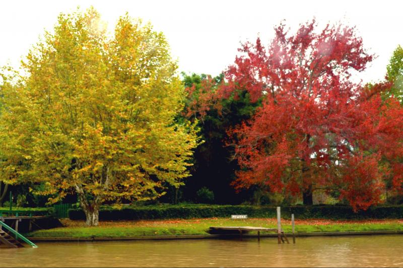 tigre-san-isidro-bike-tour-5