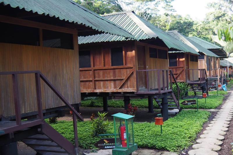2-day-ecolodge-experience-in-tambopata-6