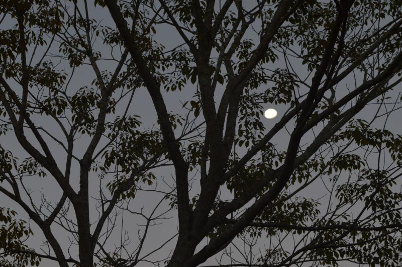 full-moon-experience-at-iguazu-falls-1