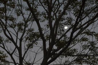Full Moon Experience at Iguazu Falls