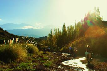 Sunset Horseback Ride in the Andes Mountains