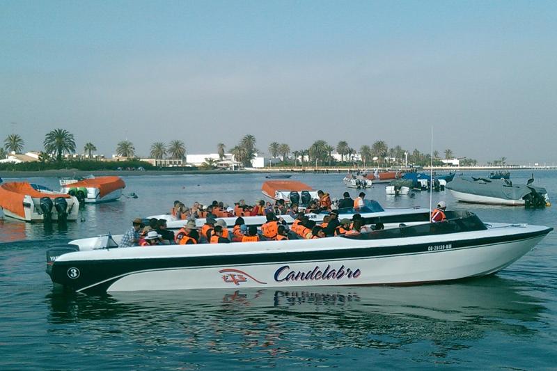 ballestas-islands-sightseeing-tour-without-transfe-3