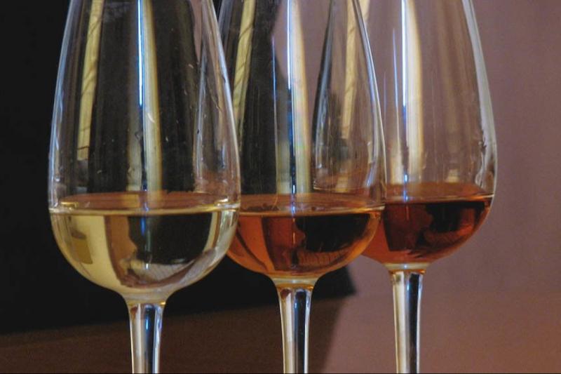 buenos-aires-wine-tasting-dinner-5