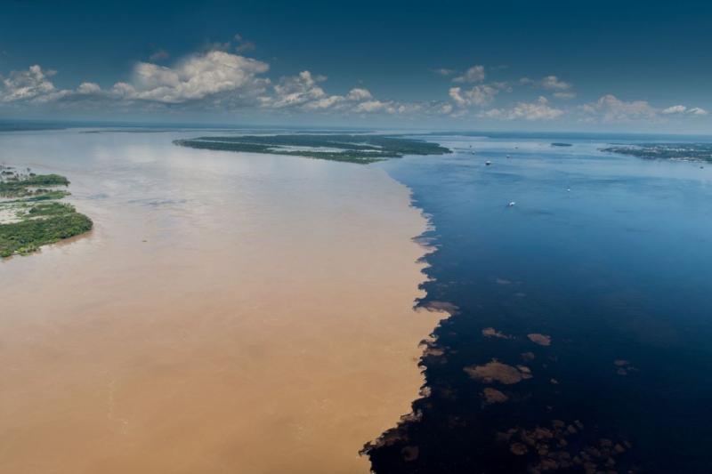 meeting-of-the-waters-and-pink-dolphin-tour-1