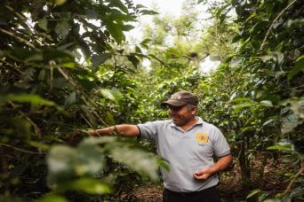 Grouptour to a coffee farm from Bogota