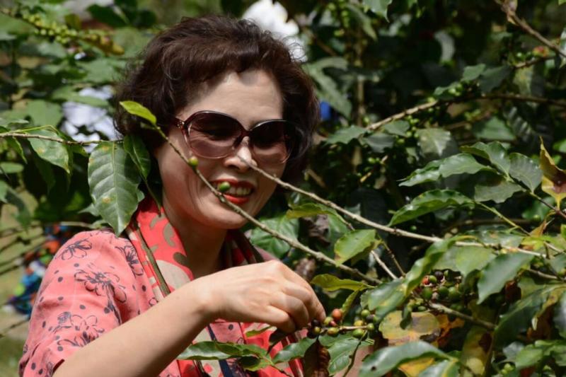 grouptour-to-a-coffee-farm-from-bogota-3