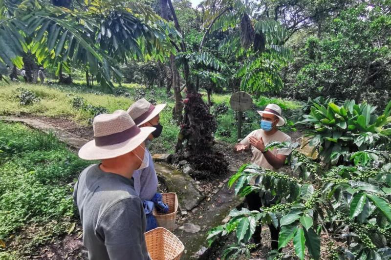 grouptour-to-a-coffee-farm-from-bogota-4