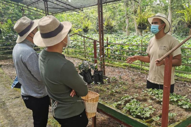 grouptour-to-a-coffee-farm-from-bogota-5
