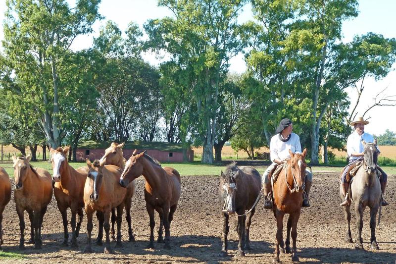 countryside-horseback-riding-tour-1