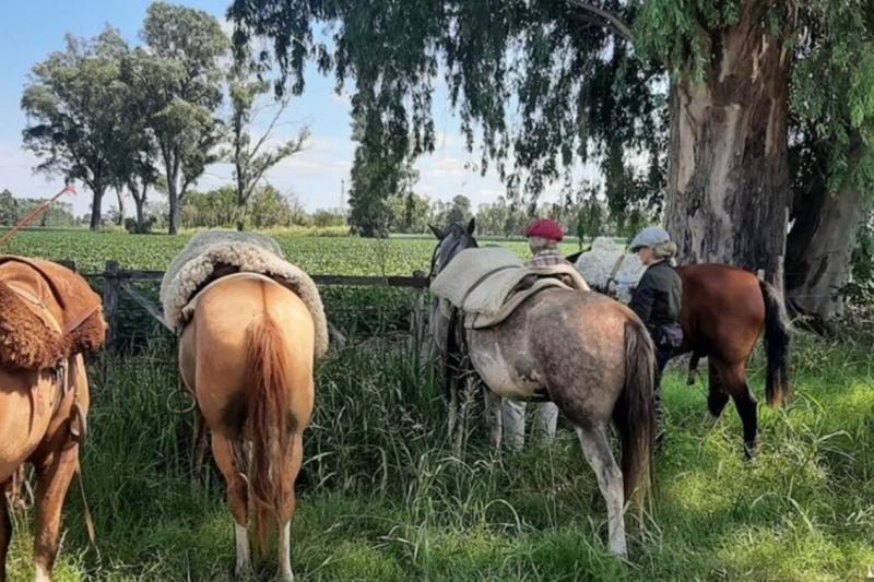 countryside-horseback-riding-tour-2
