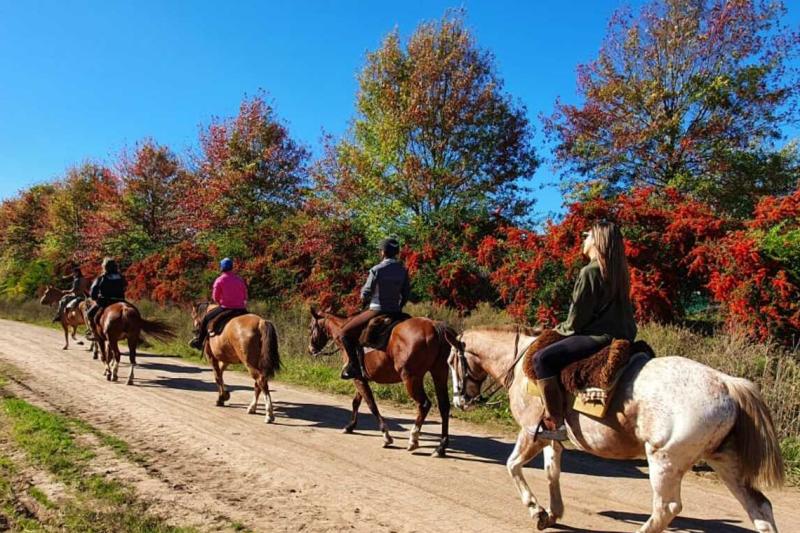 countryside-horseback-riding-tour-4