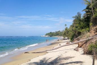 Tayrona Park: Group Tour to Cabo San Juan foreigne