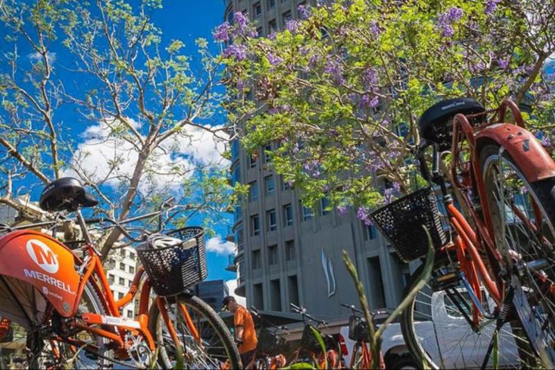 southern-neighborhoods-bicycle-tour-4