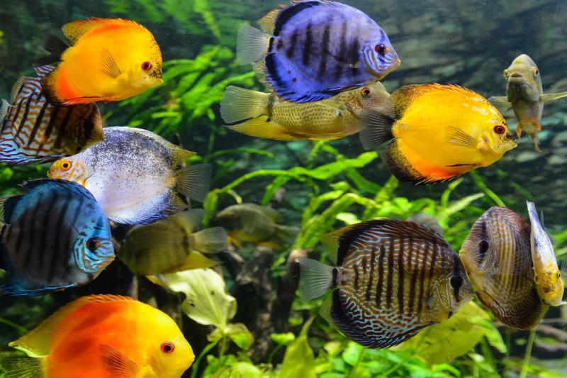 rodadero-aquarium-and-playa-blanca-tour-4