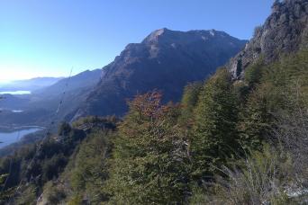 Half-Day Canopy Zipline Adventure