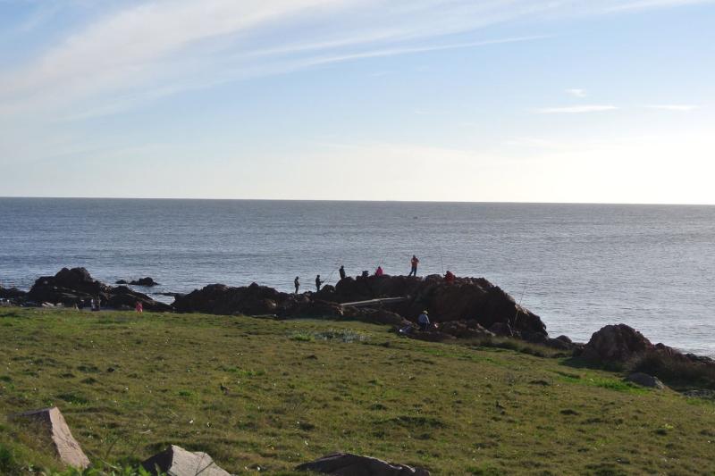 punta-del-este-cabo-polonio-city-and-beach-tour-3