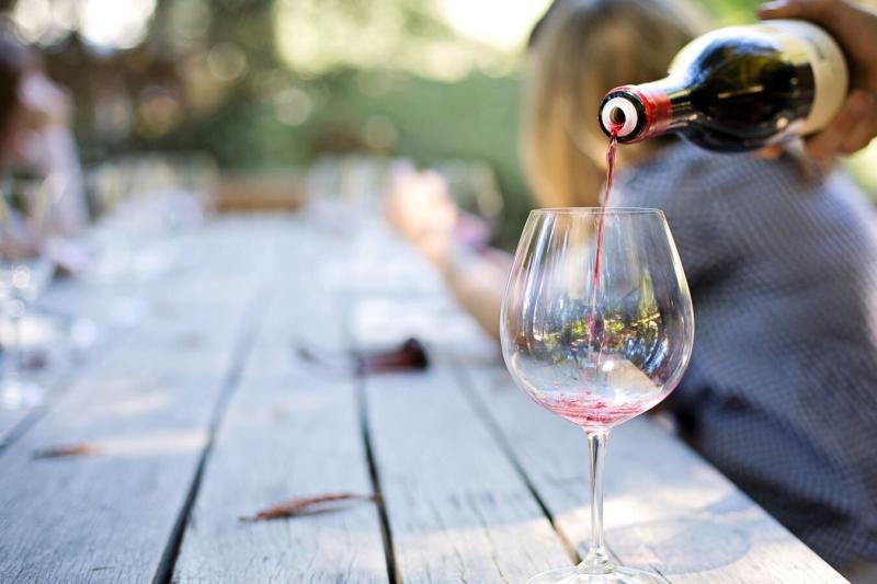 uruguayan-wine-tasting-experience-at-pizzorno-wine-2