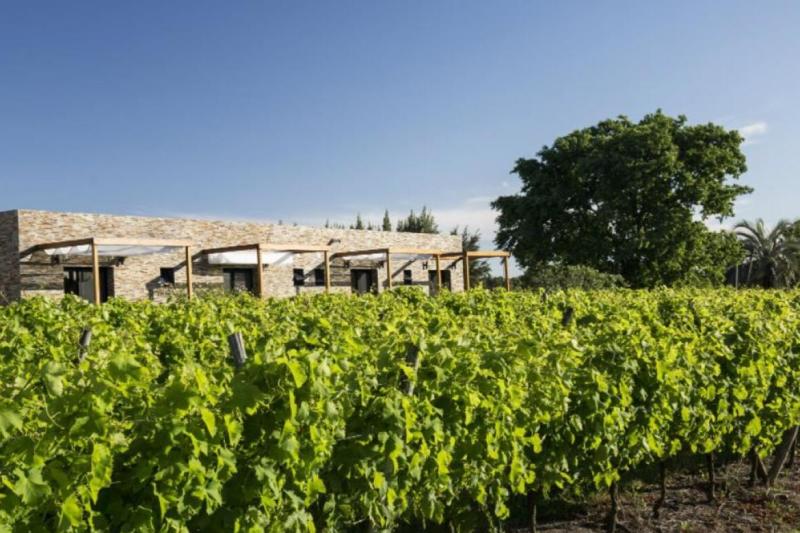 uruguayan-wine-tasting-experience-at-pizzorno-wine-3