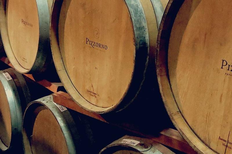 uruguayan-wine-tasting-experience-at-pizzorno-wine-4