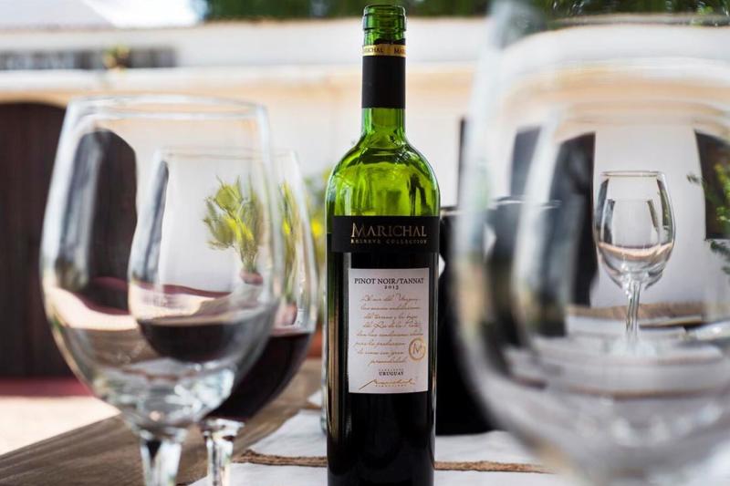 winery-tour-tasting-experience-in-montevideo-3