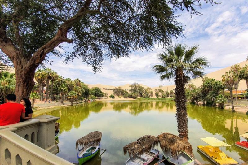 ica-bus-station-arrival-transfer-to-vinas-queirolo-4