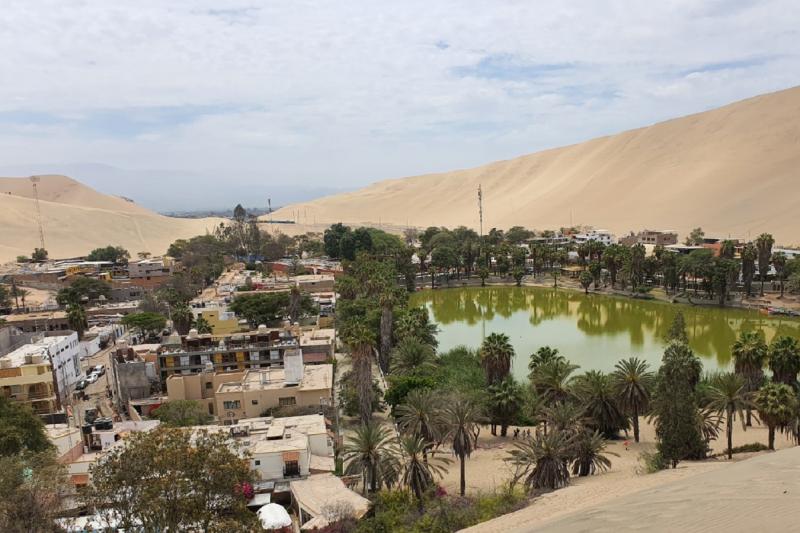 ica-bus-station-arrival-transfer-to-vinas-queirolo-5